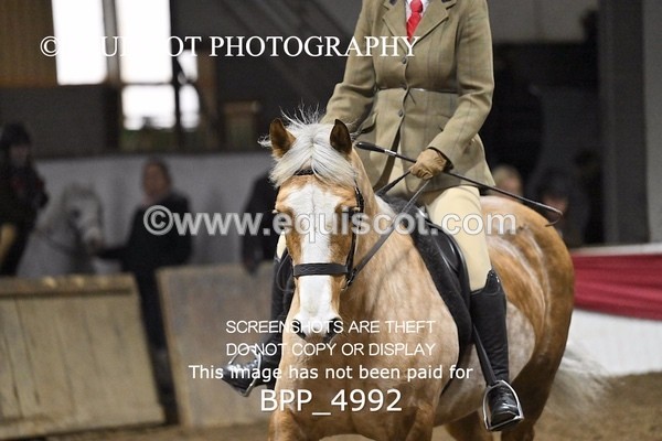 BPP_4992 - CLASS 3 40CM