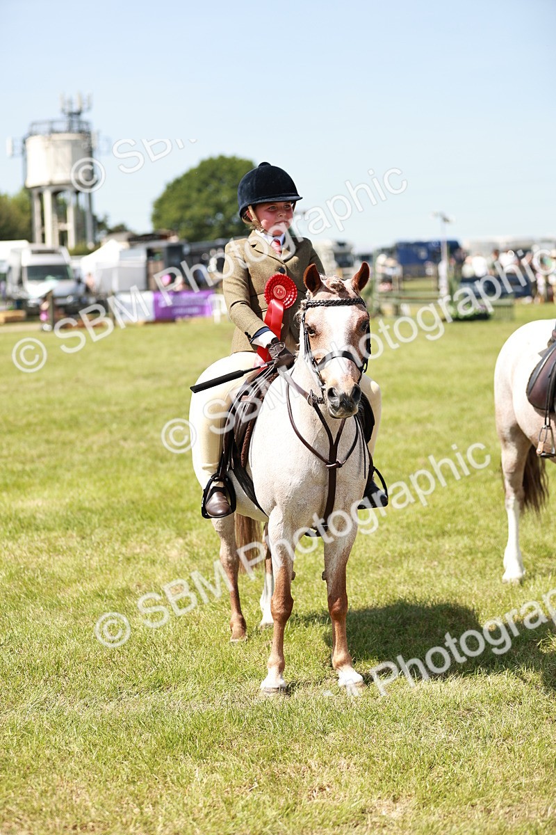 SBM_13644 - Class 108-109 - BSPS LIHS Open Gradle & Nursery Stakes