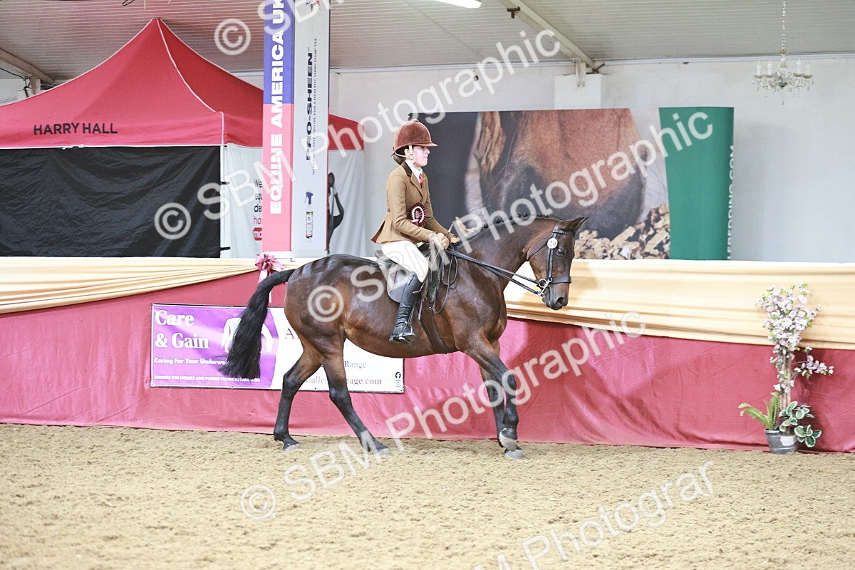 SBM_08659 - Regional Ridden Champ