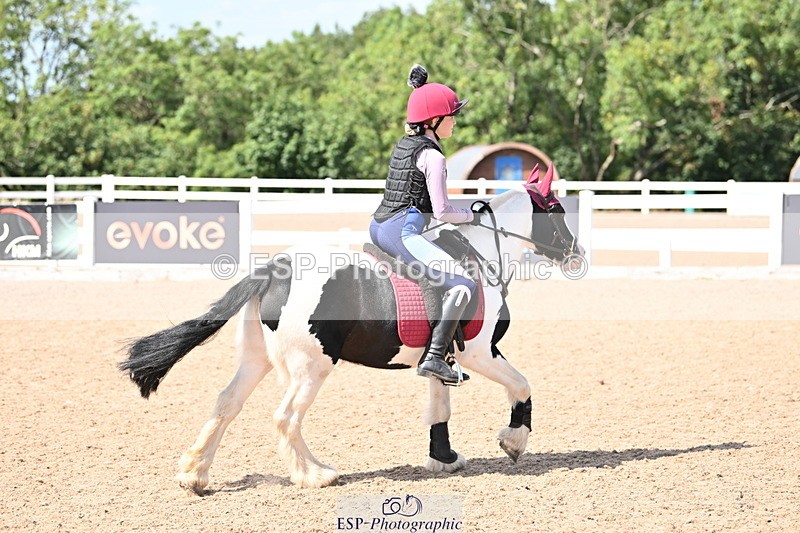 250821B-145819-00901 - Group D - Thomasina