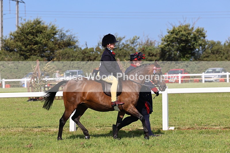 IMG_1715 - Class 31: Lead Rein SP/SHP