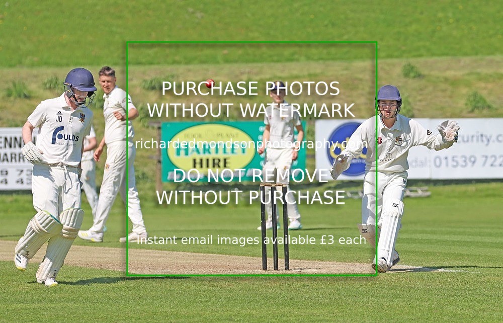 IMG_8380 - Select Cricket Images (May)