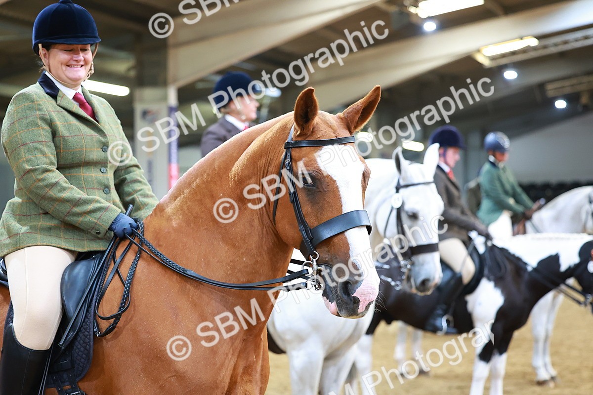 SBM_06082 - Class 12R - Ridden Pre-Vet