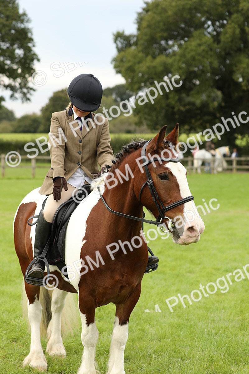 SBM_71715 - S41 - Ridden Equitation (Best Rider)