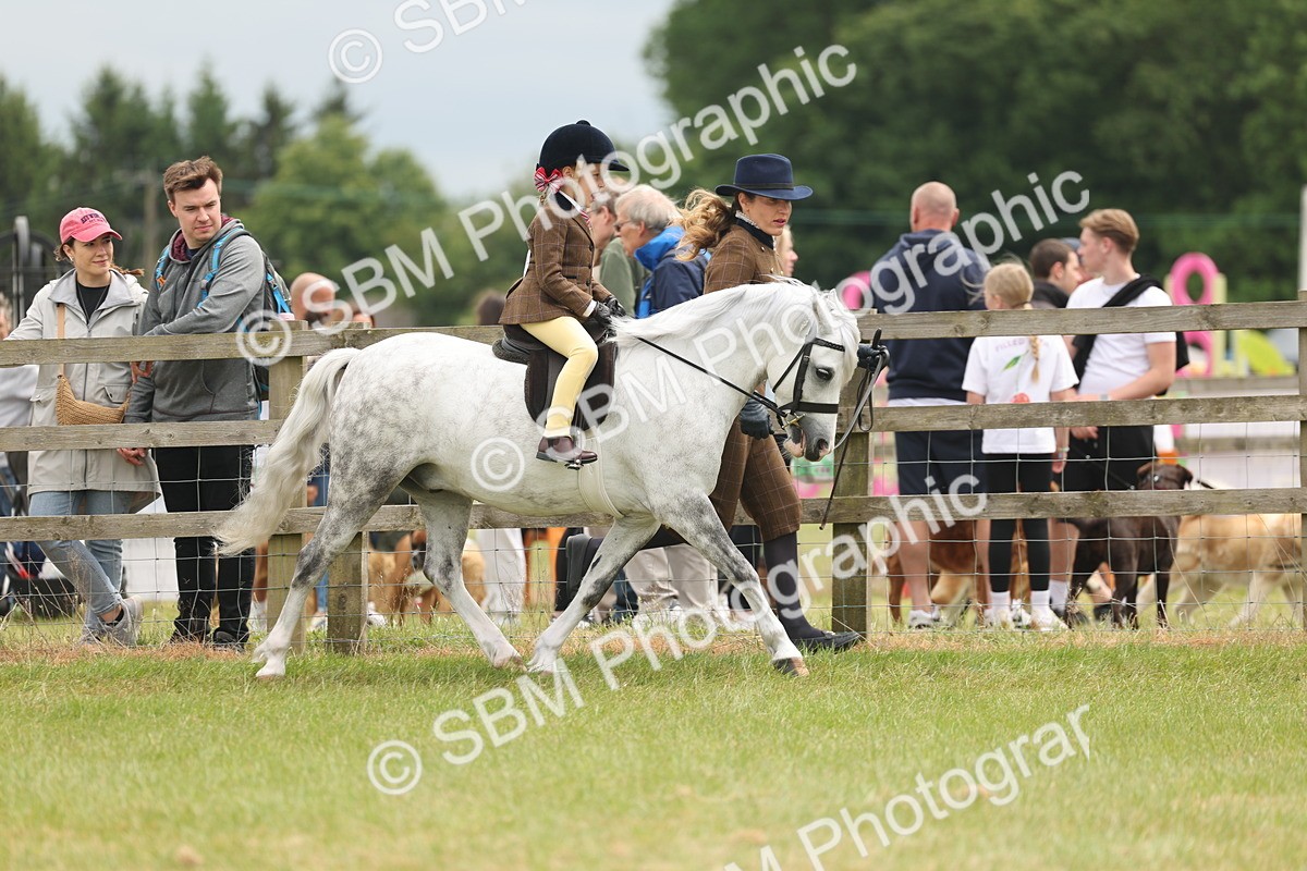 SBM_06694 - Class 74-75 - M&M Lead Rein and First Ridden Pony