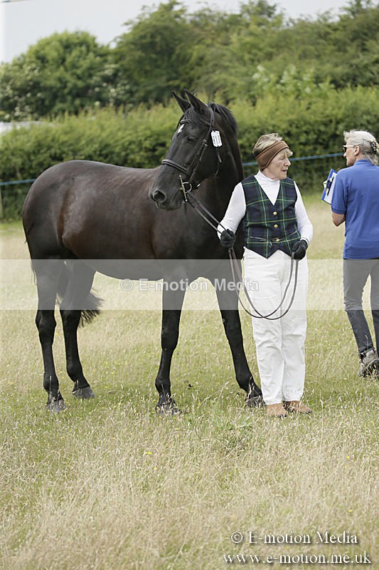 B230619-0577 - Bourne Valley Riding Club Summer Show 23/06/19