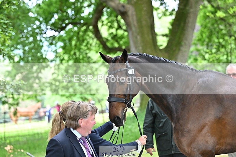 250521A-152357-00481 - B-310-Kitty.King-LISCARROW.FERNHILL