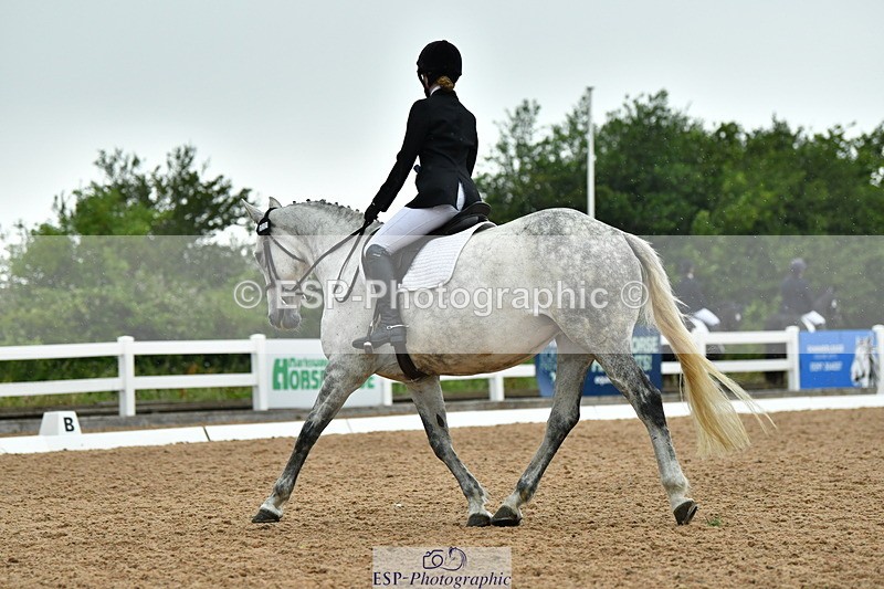 230708A-122717-02789 - Prelim 13