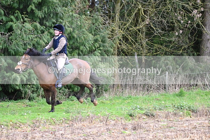 WJ6_9672 - Line Four