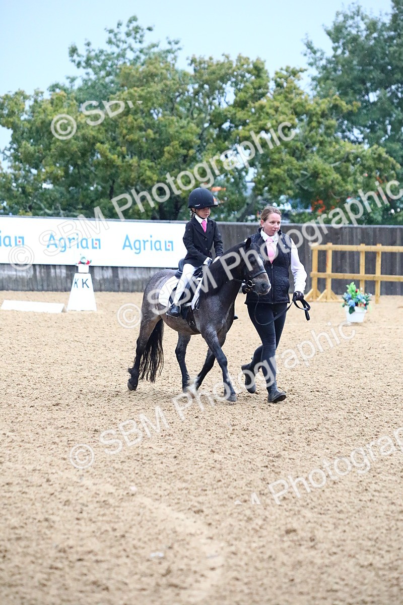 SBM_34627 - D26 - Starters Lead Rein