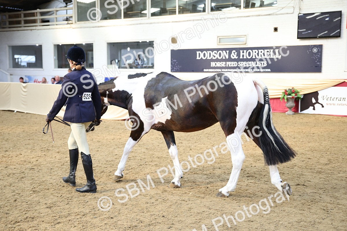 SBM_24783 - Class 906 - Supreme Final - Ridden Pre Vet