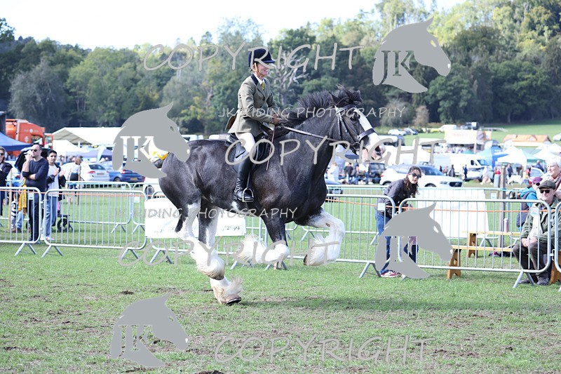 APP_3781 - Class 8 Ridden Class