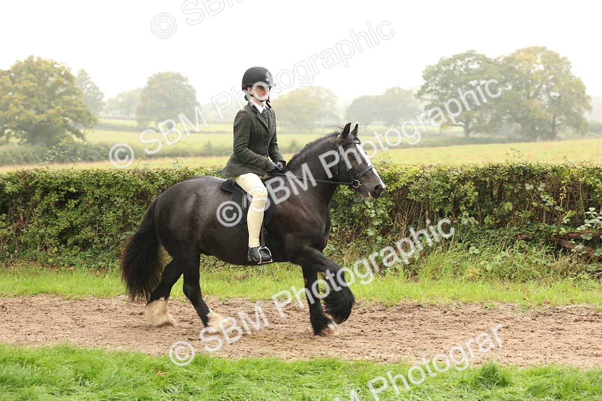 SBM_72709 - S70 - Traditional Cob Ridden