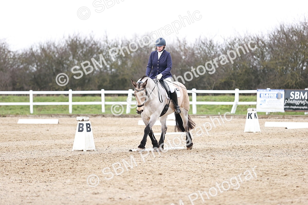 SBM_005228 - Elementary 1