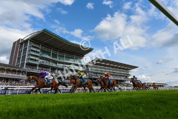 170523-Race 5-Dark Thirty-3994 - Race 5 4.10pm Conundrum HR Consulting Handicap