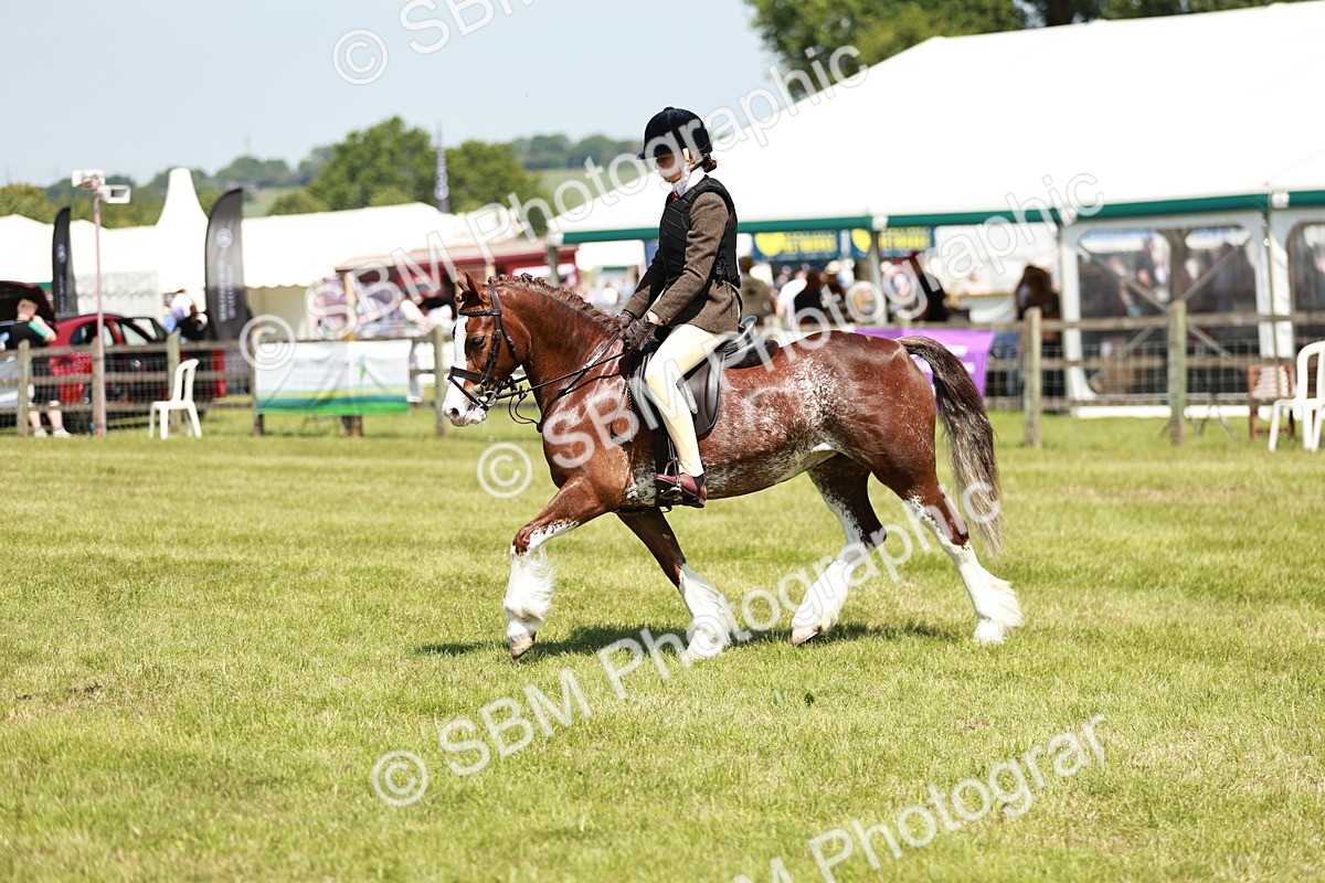 SBM_15530 - Class 108-109 - BSPS LIHS Open Gradle & Nursery Stakes