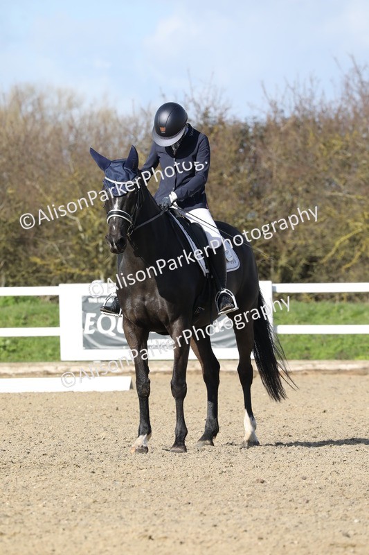 20260314-4952 - CT6 - Elementary 1