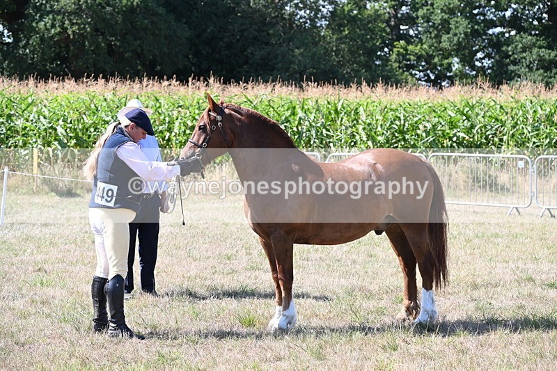 WJ6_4833 - Class 17 Mountain & Moorland