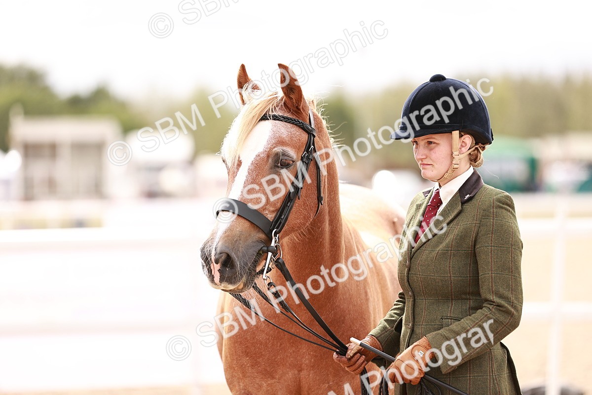 SBM_16324 - Class 413 - Best Condition - Adult