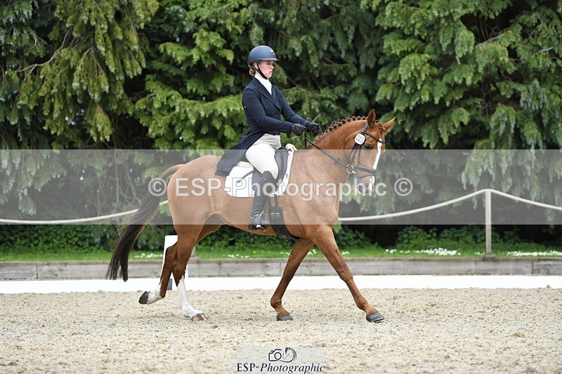 230525-144628-03178 - 323-CHESTNUT_BOBBY-Molly_Fletcher-WEDTrotUp+DR