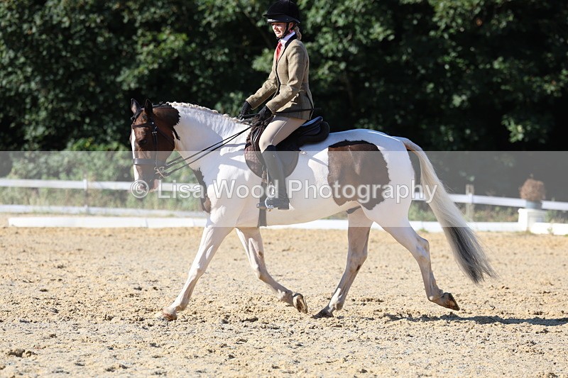 3E7A5267 - Class 8: Small Ridden Hunter