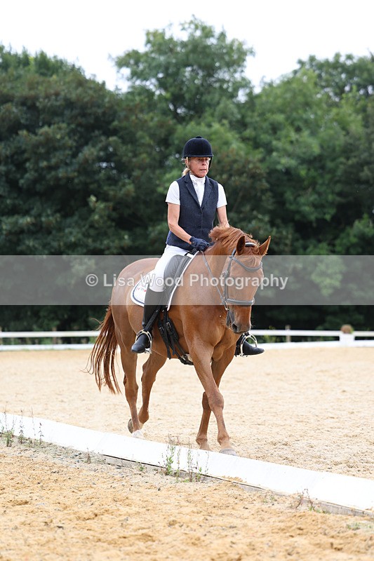 3E7A7235 - Class 9: Elementary 4 2024 - No sections