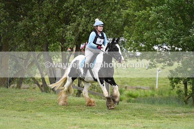 WJ5_2457 - Class 2 40cm