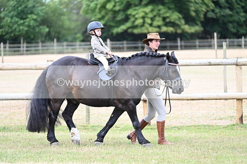 WJ7_9651 - Class 1 Lead Rein Pony
