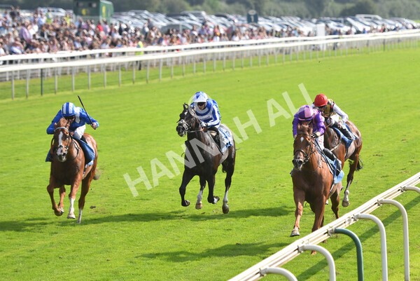 yr05092021r3-16 - Race 3 3.15pm The BioWaveGo Garrowby Stakes