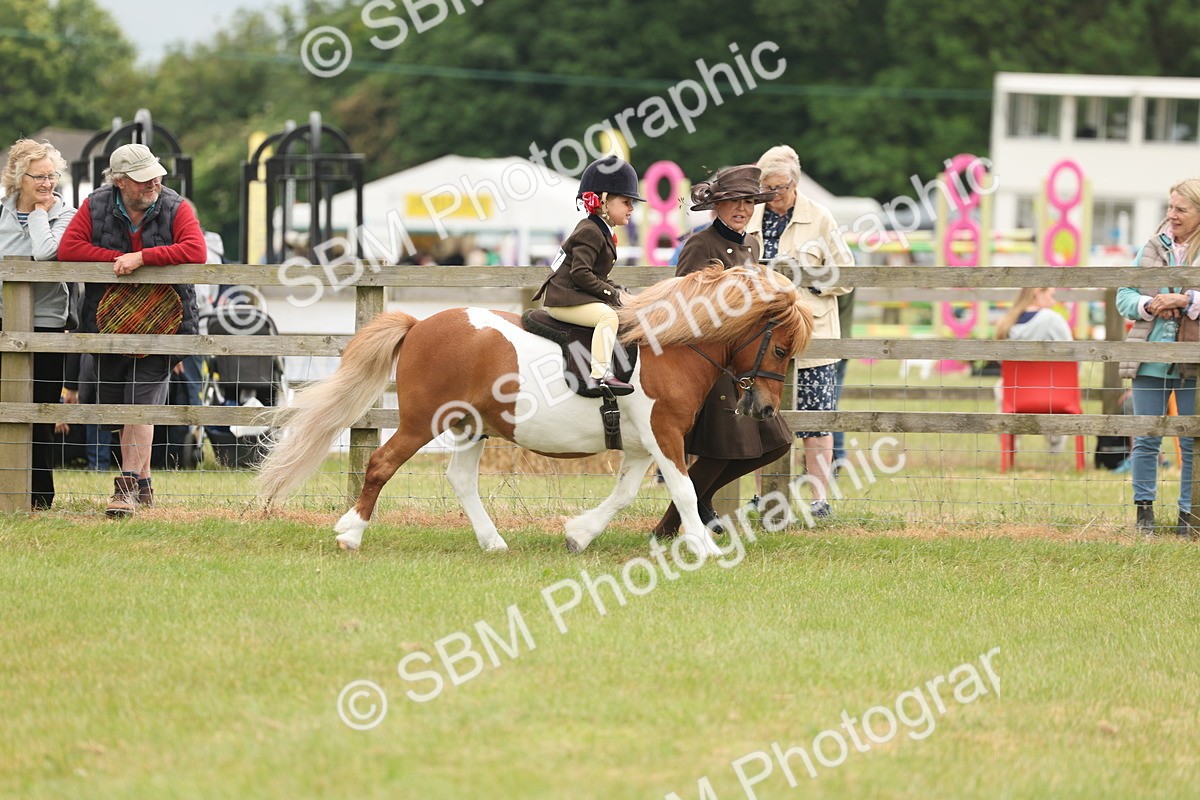 SBM_06652 - Class 74-75 - M&M Lead Rein and First Ridden Pony
