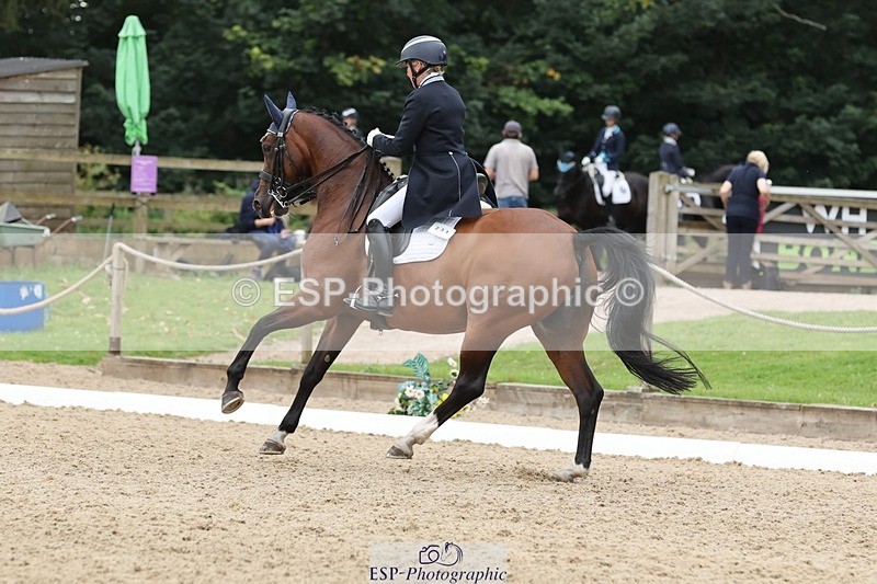 240810-151951-03969 - 231-Louise.Hutchinson-Donnarella