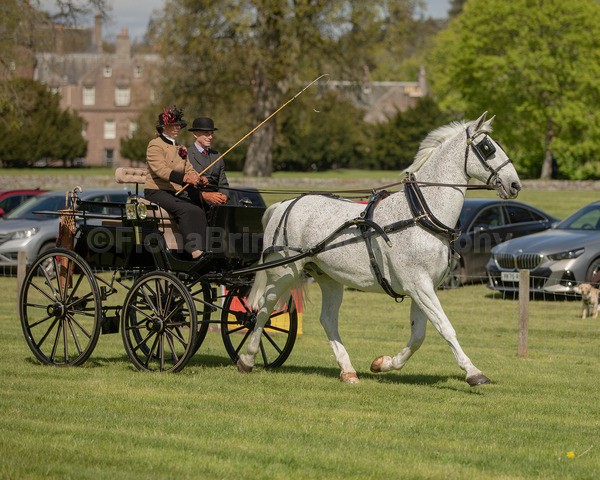 Attelage -869 - CIAT Glamis 2026