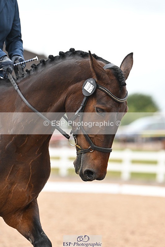 250705-175528-02737 - N1 Section BDNOV1 1350 to 15.28