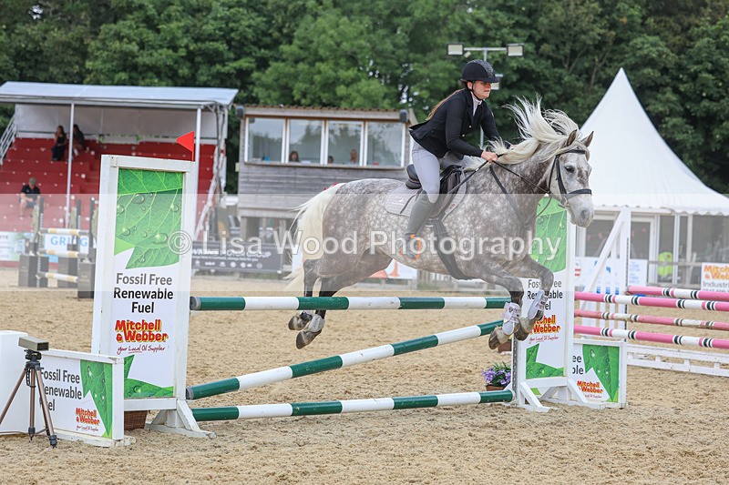 3E7A4679 - Class 4: Senior British Novice/90cm open