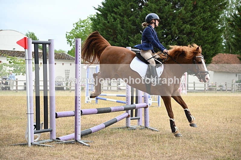WJ6_0201 - Class 13 Novice Jumping 60cm