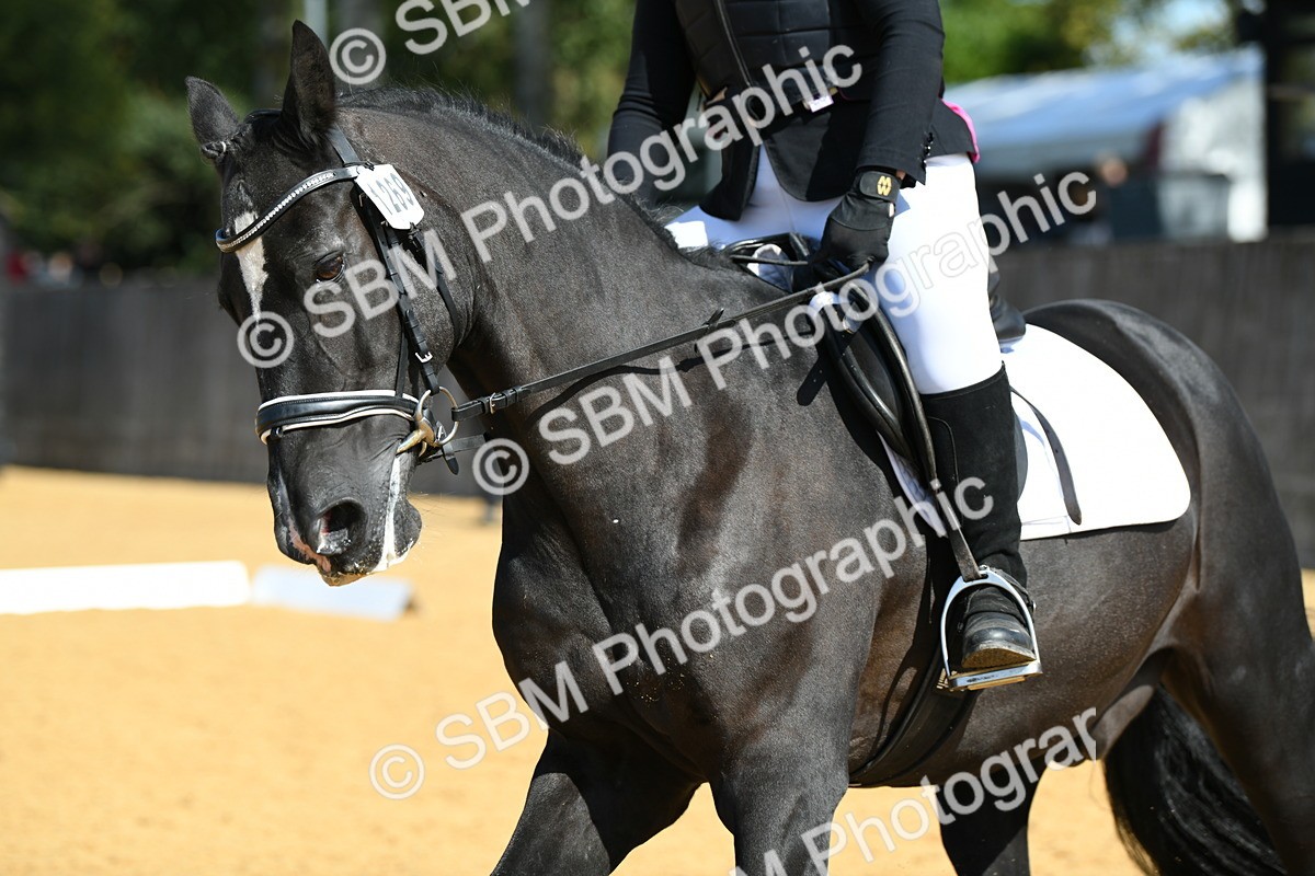 SBM_22555 - D13 - Grand Tour Championship - Prelim 12