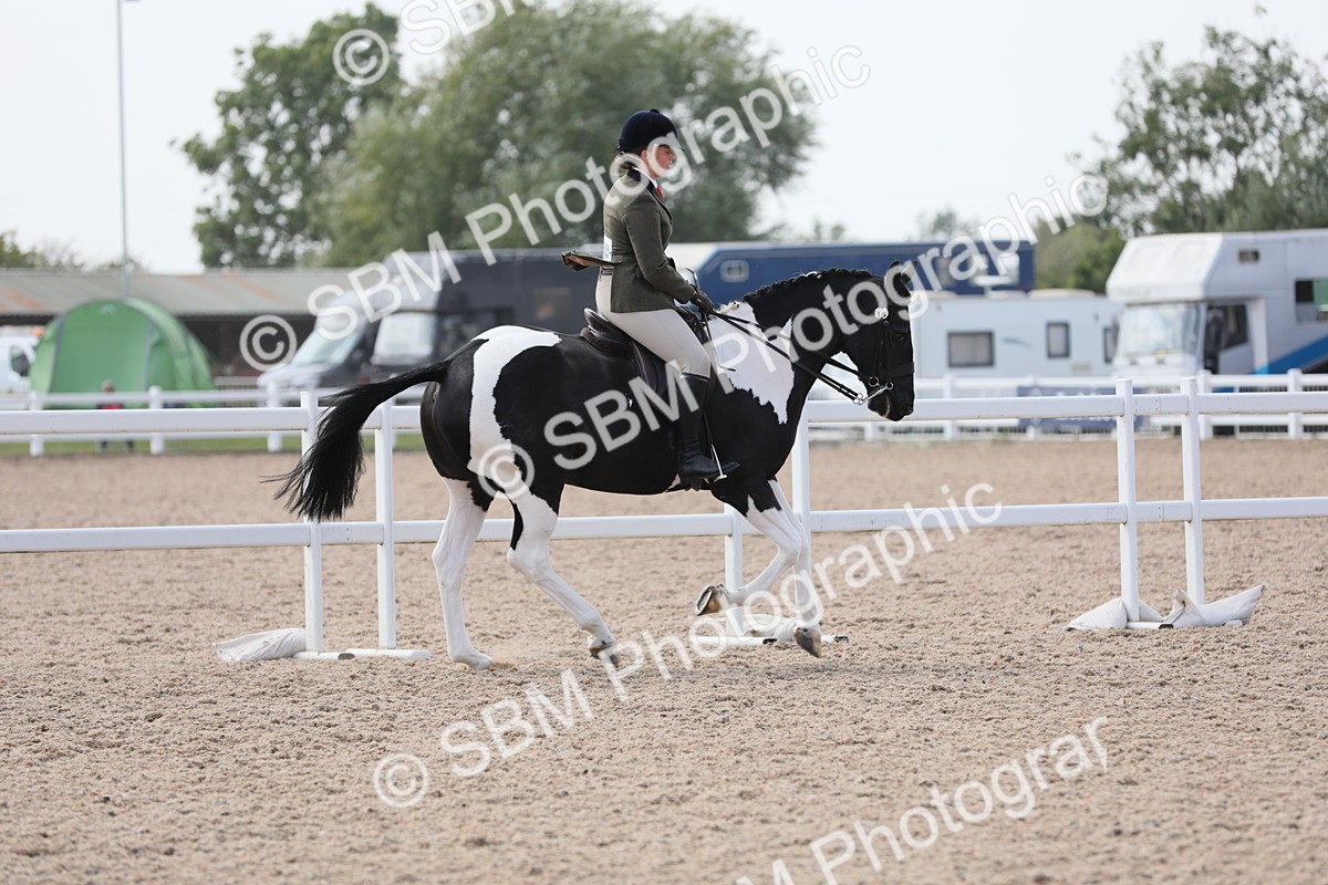 SBM_13478 - Class 308 Ridden Coloured Horse