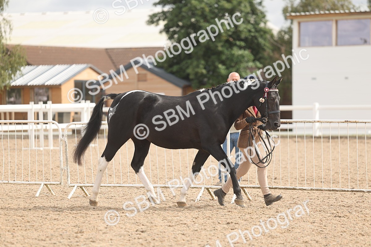 SBM_04940 - Class 20 - IH Veteran