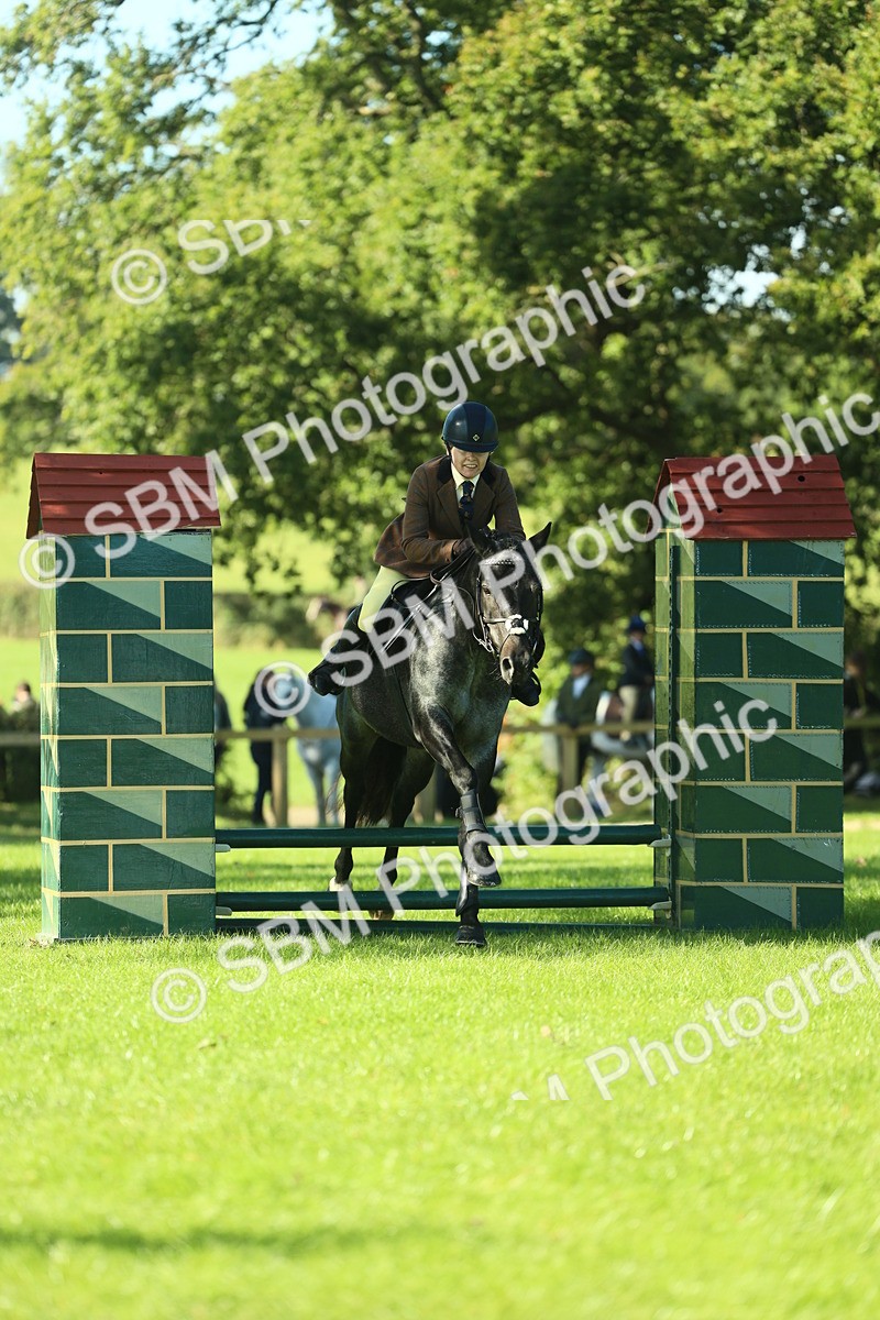SBM_36472 - S29 - Novice & Newcomers Working Hunter Pony