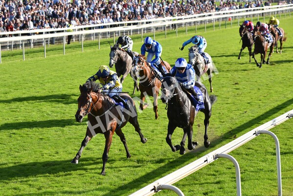 yr08102021r4-30 - Race 4 3.50pm Casumo Dare To be Different Handicap