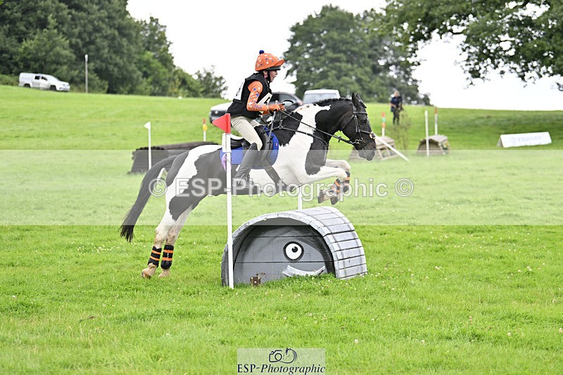 240804-144435-15447 - 555-Jack_Wish-WESTERLAKE_BUTTONWEED