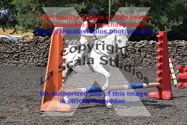 SNCP_0079 - AA Group