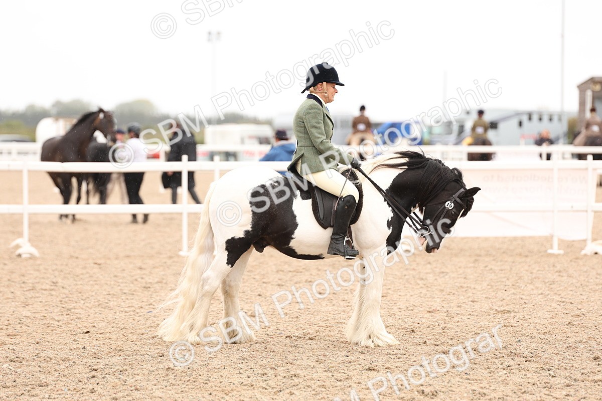 SBM_19718 - Class 216 - Ridden Traditional - Native Cob