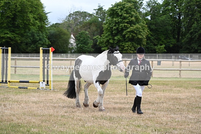 WJ6_4360 - Class 10 Coloured In-hand