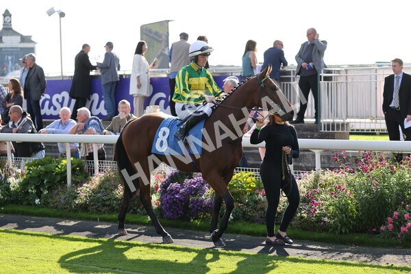 yr08102021r2-2 - Race 2 2.40pm Racing to School EBF Novice Stakes