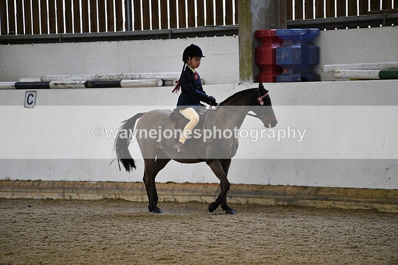 WJ5_6530 - Class 10 Childs Pony
