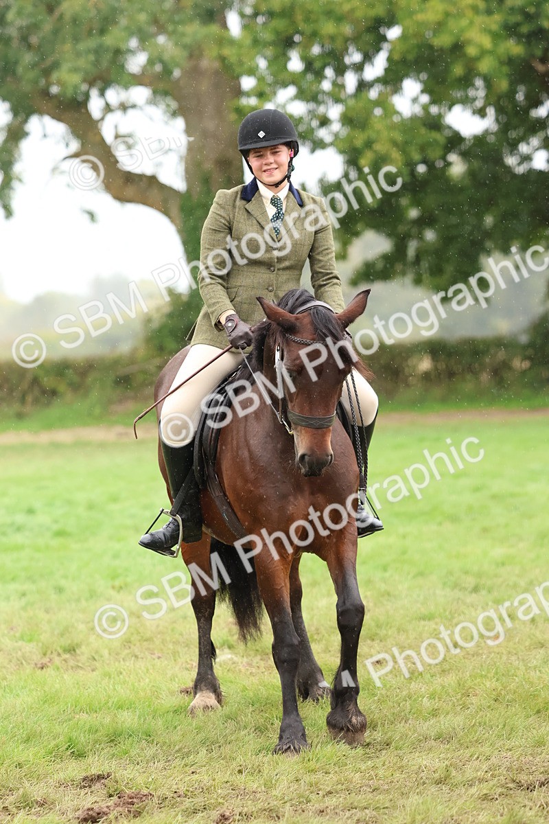 SBM_69593 - S62 - Mountain & Moorland Ridden Large Breeds