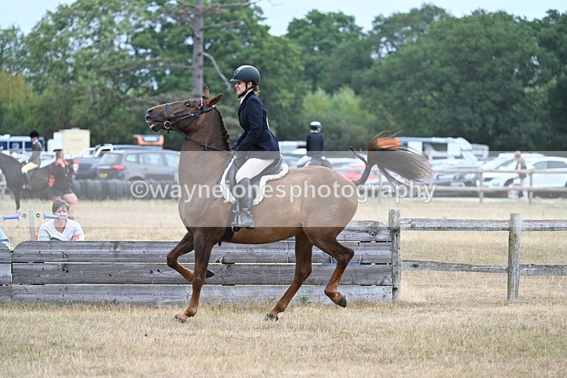 WJ7_0819 - Class 7 Riding Club Show Horse