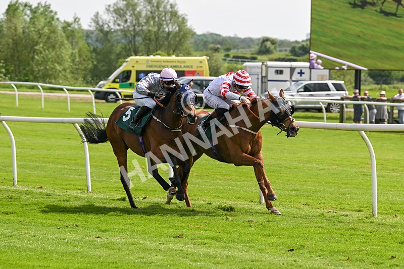 130524-Race 3-Animato-0258 - Race 3