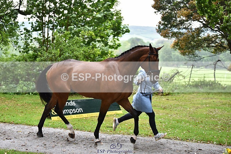 240522-162026-00846 - 240-KINDA_CORVETTE-Dani_Evans